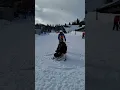 Paralyzed and skiing cord injury