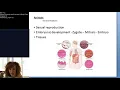 Chapter 33 Animal Diversity and Evolution of Body Plans Part 1