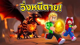 โดนมังกรพ่นไฟไล่หลัง! วิ่งแย่งไข่มังกรยักษ์สุดชีวิต 🐲🔥💨 Roblox Steal A Dragon Egg