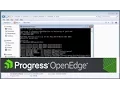 Deploying ABL SOAP and REST applications to a Progress Application Server for OpenEdge instance