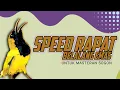 Download Lagu 🔴 LIVE masteran SOGON materi BELALANG EMAS speed rapat #masteransogon