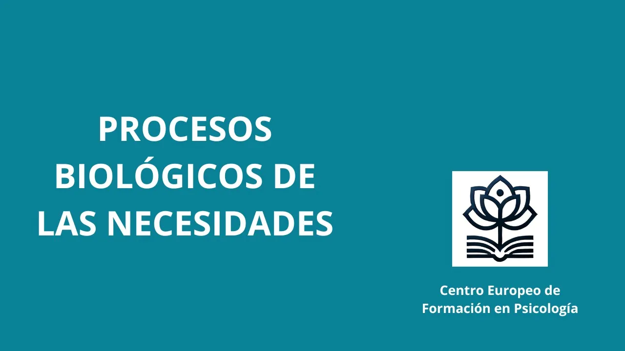 Neurofisiología de las necesidades sociales