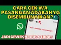 Download Lagu CARA CEK WA PASANGAN KITA | ADAKAH KONTAK \u0026  CHAT WA YANG DISEMBUNYIKAN? AYO KITA CEK