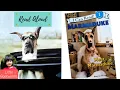 Meet Marmaduke - Friendship Story For Kids