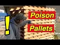 Pallet Wood Projects - Are Pallets Safe to use for Projects