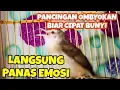 Download Lagu Pancingan ciblek sawah ombyokan biar cepat bunyi gacor nembak nembak