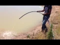 Tuhorse Solar Pump