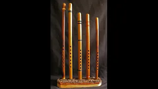 ISSA GALILLE Gasba Chaoui عيسى قليل قصبة شاوي 