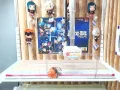 Toreba Replay Win