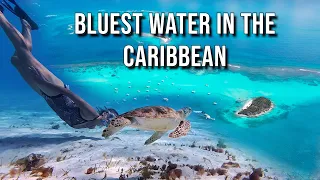 BLUEST WATER IMAGINABLE – TOBAGO CAYS