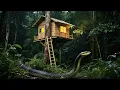 Download Lagu Unbelievable Survival Treehouses Compilation Living High Above Ground