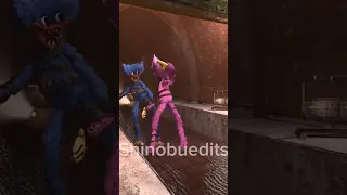 KISSY MISSY SAVE FROM HUGGY WUGGY Sad Catnap Trending 