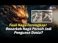 Lagu “Fosil Naga Tersingkap! Benarkah Naga Pernah Jadi Penguasa Dunia?”