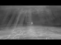 Download Lagu Bruno Major - A Strange Kind Of Beautiful (Official Video)