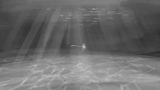 Bruno Major A Strange Kind Of Beautiful Official Video 