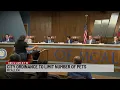 McAllen proposes ordinance to set pet limit for households
