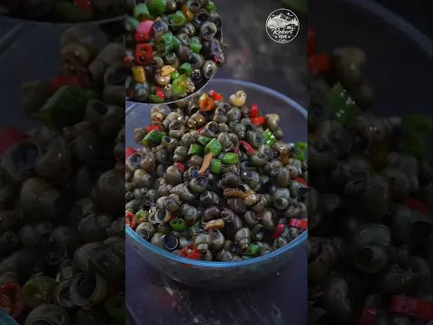 कैसे तालाब के घोंघे से बना लज़ीज़ डिश 😋| Snail cooking #shorts
