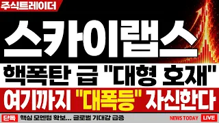 [스카이랩스 주가전망] 웨어러블 헬스케어 시장 확장으로 새로운 성장 모멘텀 주목 | 스카이랩스 주가분석 · 대응 · 분석 · 목표가