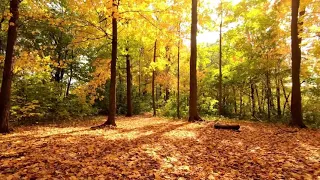 موسيقي هادئة دقيقتين 