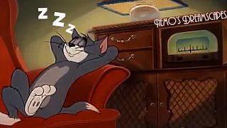 Oldies Playing In Another Room It S A Great Night Open Window Crickets Ambience 3 HOURS ASMR V2 