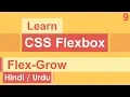CSS Flexbox Flex-Grow Tutorial in Hindi Urdu
