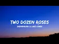 Lagu Shenandoah \u0026 Luke Combs - Two Dozen Roses (lyrics)
