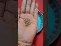 Download Lagu agar aapko koi pareshan kar raha hai #motivation #facts