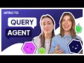 The Query Agent