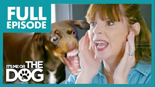 This Dachshund Is One Step Away From A New Home | S1 E2 | It's Me Or The Dog