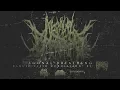 Download Lagu AGONAL BREATHING - RANCID FLESH COPULATION [EPICARDIECTOMY COVER] (2017) SW EXCLUSIVE
