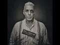 Altes Fleisch - Till Lindemann
