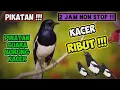 Download Lagu Pikatan Kacer Ribut Super Jos non stop 2 jam