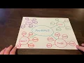 Speech Language Therapy Ideas semantic webbing