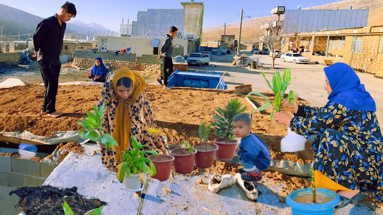 Roof Garden Transformation: Renovating Turan's Home and Organizing Flowers