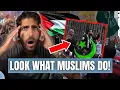 Download Lagu WATCH What Pro Palestinian Muslims do When Israel Announces Ceasefire Deal!