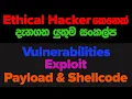 ethical hacking sinhala - vulnerabilities exploit payload and shell code in sinhala
