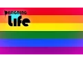 Every Gay Bar in Long Beach California A Gay Travel Guide