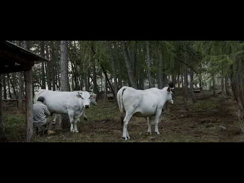 ALPENLAND - Trailer