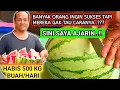Download Lagu NGGAK NYANGKA..!!! CUMA JUALAN BEGINIAN OMSET TEMBUS 60 JUTA/BLN!! IDE BISNIS MENJANJIKAN 2022