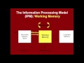 Learning Memory Information Processing Theory