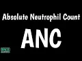 Absolute Neutrophil Count Test ANC Test Neutrophil Count Formula Neutrophil Count Test