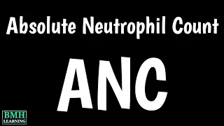 Absolute Neutrophil Count Test ANC Test Neutrophil Count Formula Neutrophil Count Test