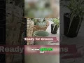 Download Lagu Harvest Arrangements: See What I'm Doing For Our Dining Tent! #shorts