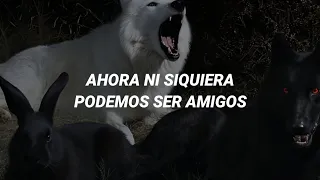 Crystal Castles - Not In Love | Subtitulada al Español