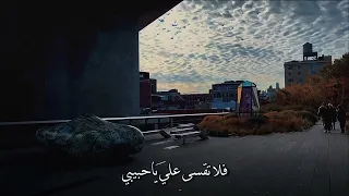فضل شاكر انا حبيتك حب كبير          اغاني  ستوريات          موسیقی  دندنها