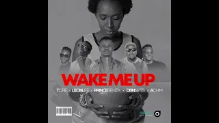 tcire x achim x prince benza x leon lee x dbn nyts wake me up