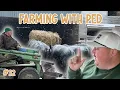 A Farmer s Frenzy From Black Friday to First Blizzard Farming with Ped