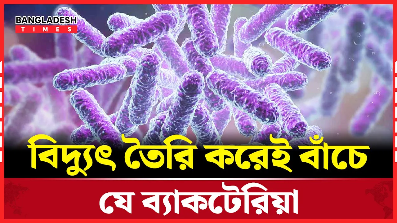 জ্বা"লানি ও বায়োটেকে বিপ্লব আনতে পারে বিদ্যুৎ-ব্যাকটেরিয়া