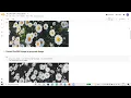 Image to Pencil Sketch with Python Machine Learning LGMVIP Task 1