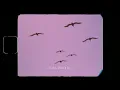 keshi - beside you (Lyric Video)